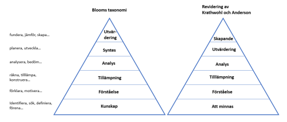 Blooms taxonomi kategoriserar kognitiva färdigheter i sex nivåer: kunskap, förståelse, tilllämpning, analys, syntes och utvärdering. Revidering av Krathwohl-Anderson kategoriserar desamma färdigheter på följande sätt: att minnas, förståelse, tillämpning, analys, utvärdering och skapande.
