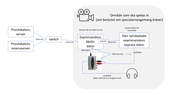 Specialarrangemang när en synskadade använder en egen dator.