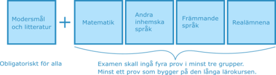 Stuktur av studentexamen efter reformen våren 2022. Modersmål och litteratur är obligatorisk för alla. Dessutom skall fyra prov från minst tre andra ämnegrupper ingå i examen.