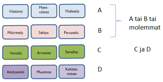Kaavio reaalikokeen rakenteesta. Jokaisessa kokeessa valitaan yksi moduuli joko riviltä A (väittämä, monivalinta, yhdistely) tai riviltä B (määrittely, selitys, perustelu) tai molemmista. Näiden lisäksi riveiltä C (vertailu, arviointi, sovellus) ja D (analysointi, muunnos, kehittäminen)on aina ainakin yksi tehtävämoduuli.