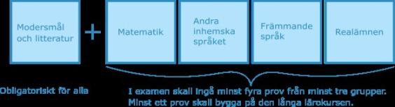 Stuktur av studentexamen efter reformen våren 2022. Modersmål och litteratur är obligatorisk för alla. Dessutom skall fyra prov från minst tre andra ämnegrupper ingå i examen..