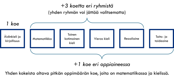 Ylioppilastutkintoa suorittavan kokelaan on suoritettava viisi koetta seuraavista ryhmistä:  1. äidinkieli ja kirjallisuus 2. matematiikka 3. toinen kotimainen kieli 4. vieraat kielet 5. reaaliaineet 6. taito- ja taideaineet. Kokeista yhden kokeen tulee olla ryhmästä 1, kolme koetta eri ryhmistä 2–5 ja yksi koe ryhmistä 2–6.  Kokeisiin voi kuulua vain yksi koe samassa oppiaineessa.