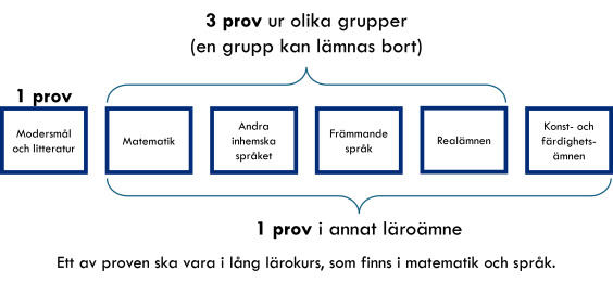 Proven väljs från grupperna:  modersmål och litteratur matematik det andra inhemska språket främmande språk realämnen konst- och färdighetsämnen  Ett prov ska höra till grupp 1, tre prov till olika grupper bland 2–5 och ett prov till grupperna 2–6. Dessutom kan examen innehålla ett eller flera andra prov från vilken som helst av grupperna 1–6.