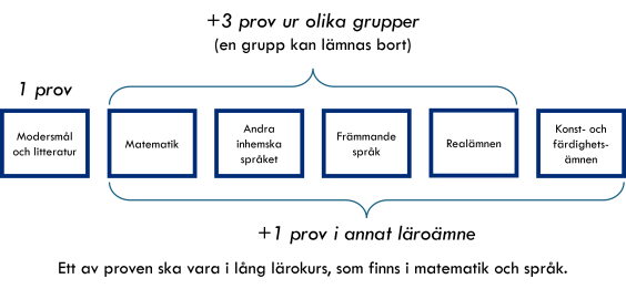 En examinand som avlägger studentexamen ska avlägga fem prov ur följande grupper:  1.modersmål och litteratur 2. matematik 3. det andra inhemska språket 4. främmande språk, 5. realämnen 6. konst- och färdighetsämnen. Ett prov ska vara ur grupp 1, tre prov ur olika grupper ur grupperna 2–5 och ett prov ur grupperna 2–6.  Endast ett proven ska avläggas i ett och samma läroämne.
