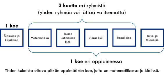 Kokeet valitaan ryhmistä:   äidinkieli ja kirjallisuus matematiikka toinen kotimainen kieli vieraat kielet reaaliaineet taito- ja taideaineet.  Yhden kokeen tulee olla ryhmästä 1, kolme koetta eri ryhmistä 2–5 ja yksi koe ryhmistä 2–6. Lisäksi tutkintoon voi kuulua yksi tai useampi muu koe mistä tahansa ryhmistä 1–6. 